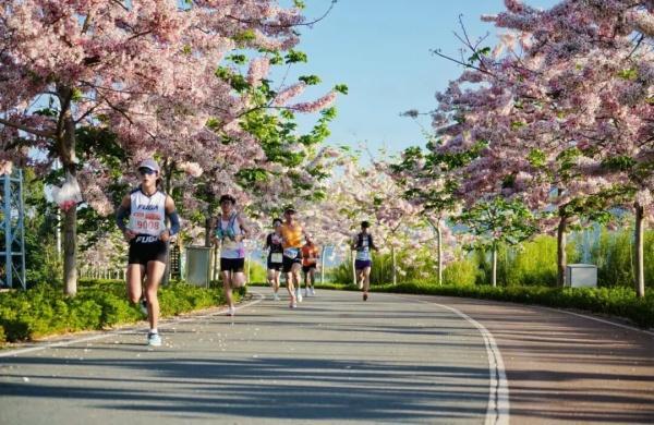 宝威体育