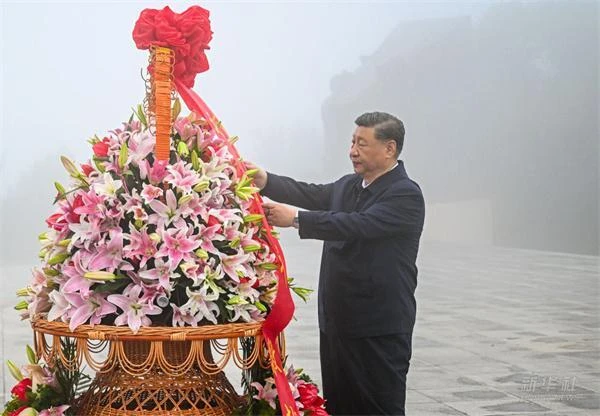 宝威体育