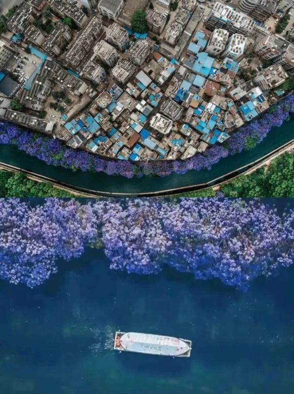 宝威体育